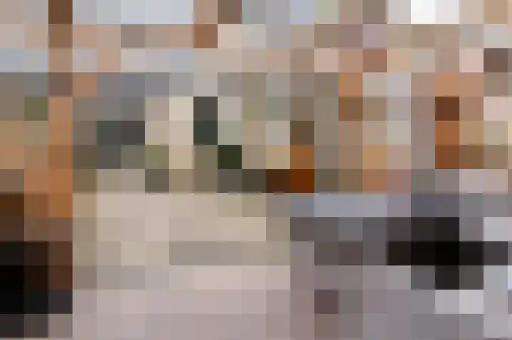 Tarweakker 12 Barneveld thumbnail 42