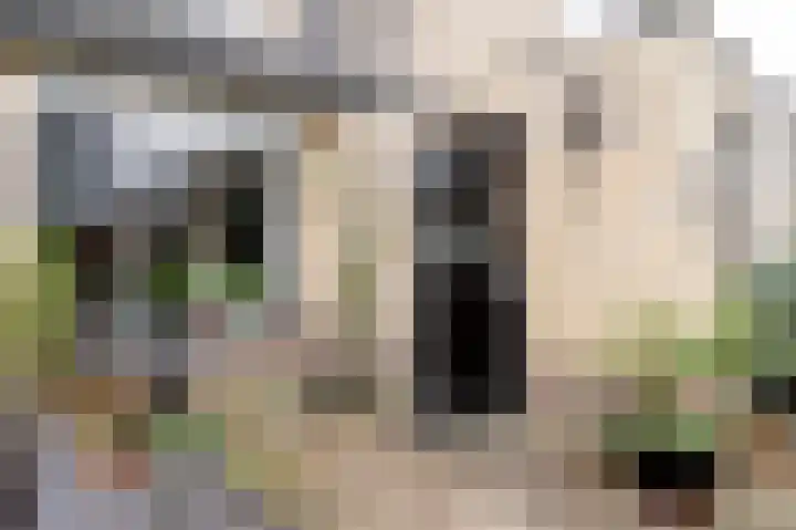 Tarweakker 12 Barneveld thumbnail 43
