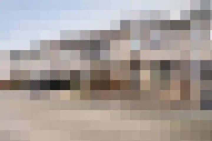Tarweakker 12 Barneveld thumbnail 44