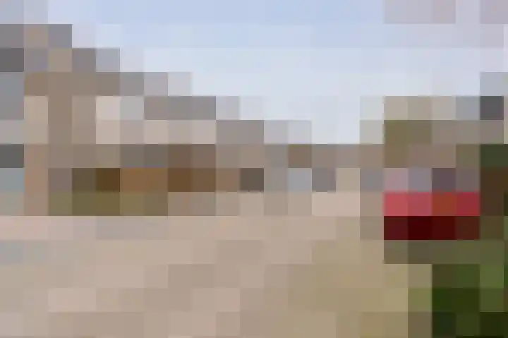 Tarweakker 12 Barneveld thumbnail 45