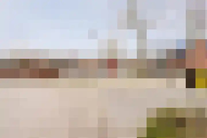Tarweakker 12 Barneveld thumbnail 46