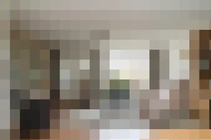 Tarweakker 12 Barneveld thumbnail 5