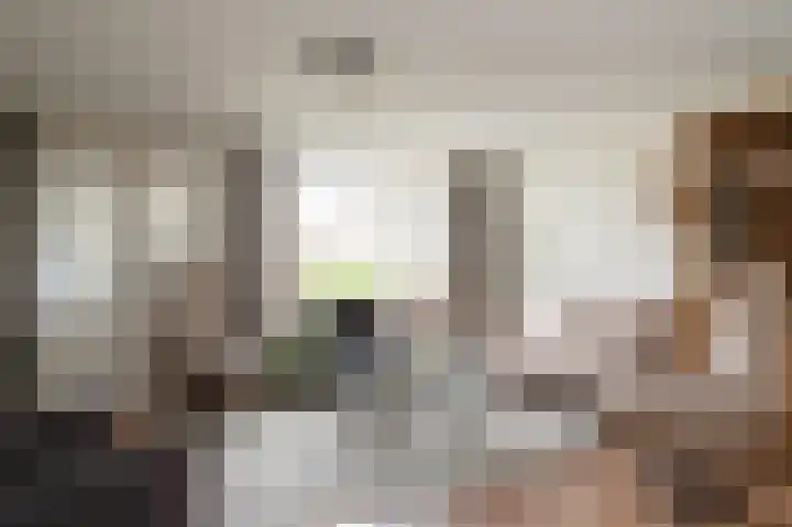 Tarweakker 12 Barneveld thumbnail 6