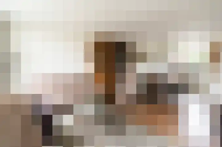 Tarweakker 12 Barneveld thumbnail 8