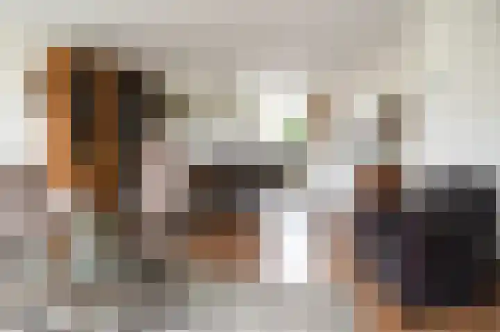 Tarweakker 12 Barneveld thumbnail 9