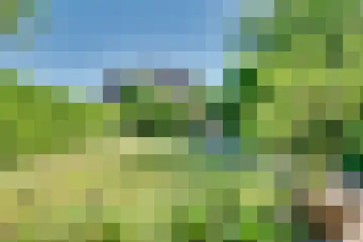 Tarweakker 18 's-Hertogenbosch