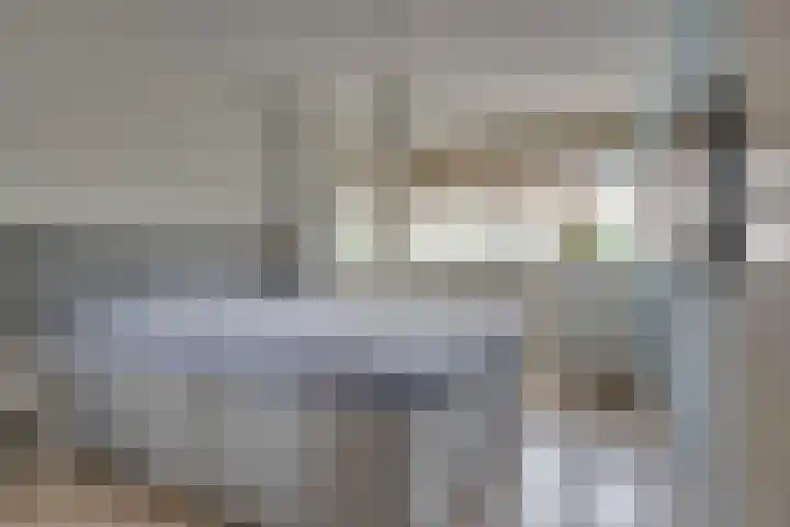 Tarweakker 18 's-Hertogenbosch thumbnail 12