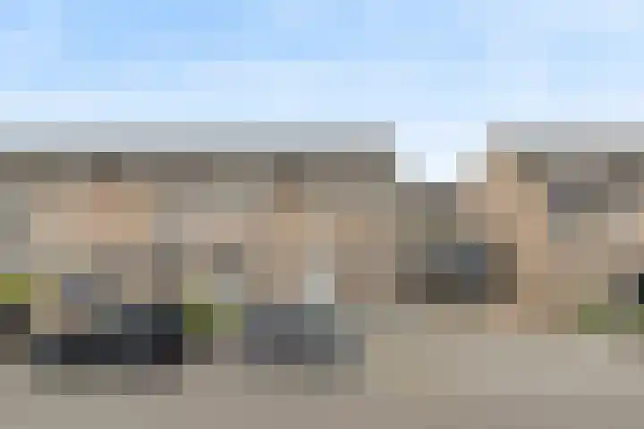 Tarweakker 18 's-Hertogenbosch thumbnail 13