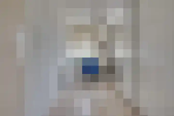 Tarweakker 18 's-Hertogenbosch thumbnail 14