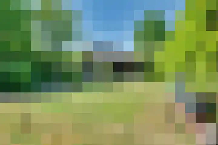 Tarweakker 18 's-Hertogenbosch thumbnail 20