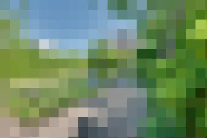 Tarweakker 18 's-Hertogenbosch thumbnail 21