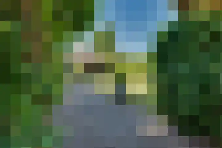 Tarweakker 18 's-Hertogenbosch thumbnail 22