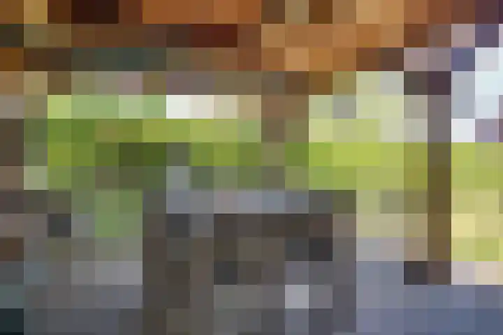 Tarweakker 18 's-Hertogenbosch thumbnail 23