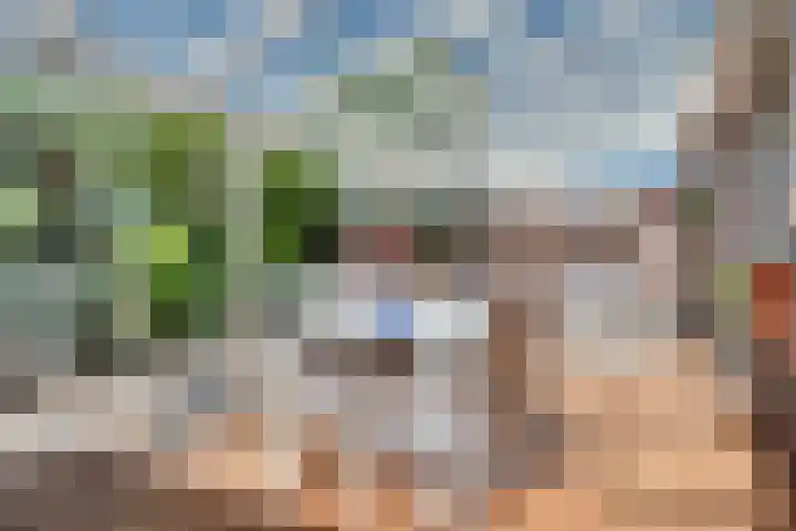 Tarweakker 18 's-Hertogenbosch thumbnail 28