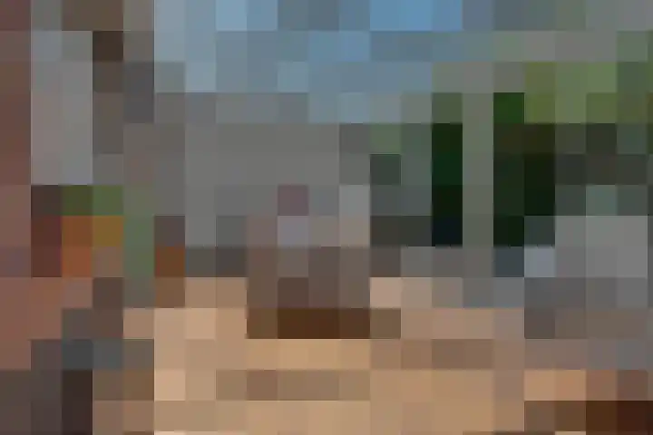 Tarweakker 18 's-Hertogenbosch thumbnail 30