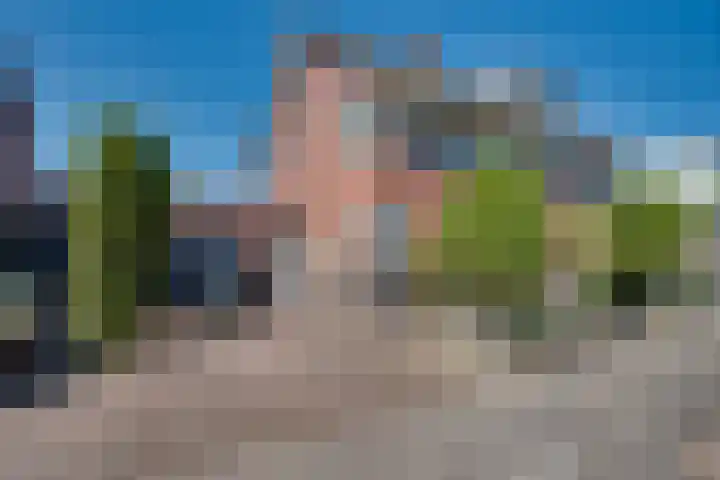 Tarweakker 18 's-Hertogenbosch thumbnail 31