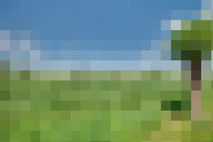 Tarweakker 18 's-Hertogenbosch thumbnail 32