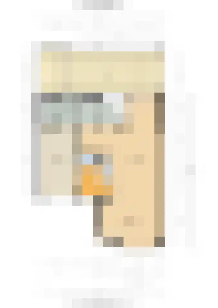 Tarweakker 18 's-Hertogenbosch thumbnail 39