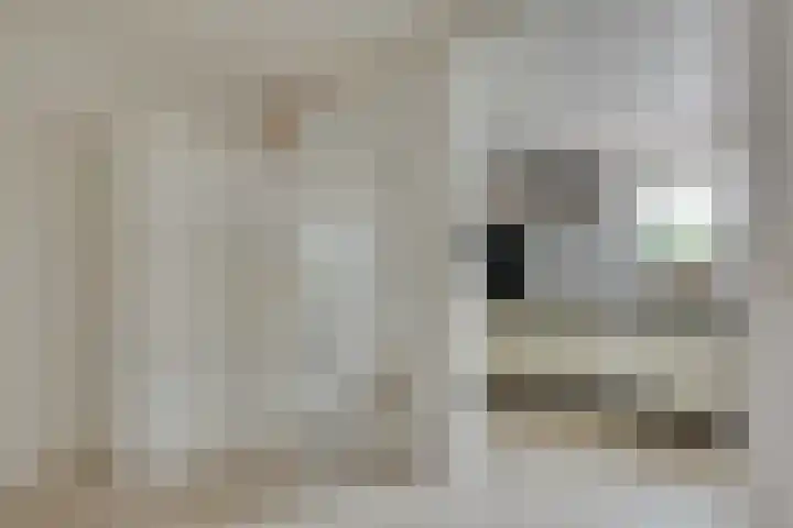 Tarweakker 18 's-Hertogenbosch thumbnail 9