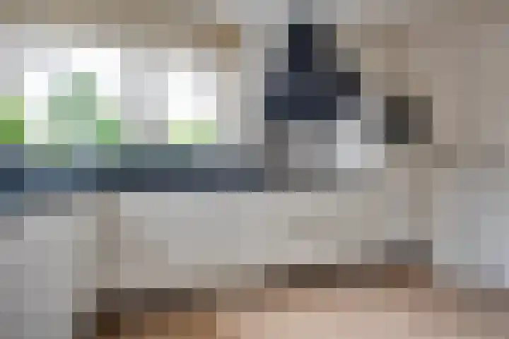 Tarweakker 20 's-Hertogenbosch thumbnail 11