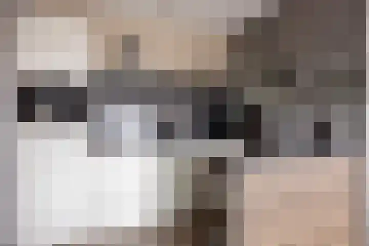 Tarweakker 20 's-Hertogenbosch thumbnail 16