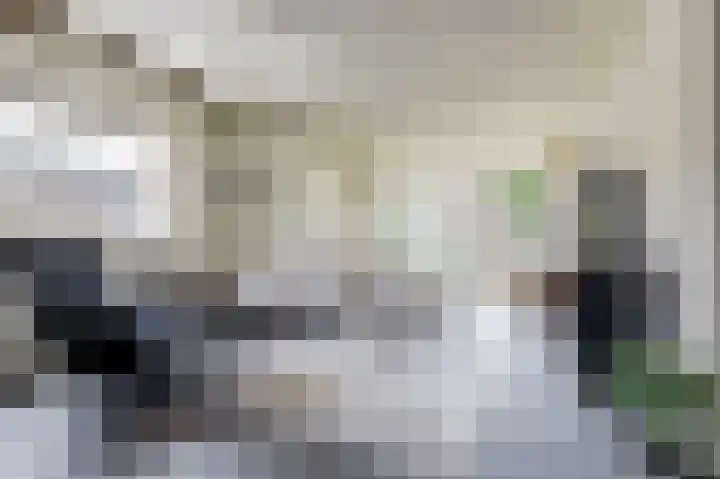 Tarweakker 20 's-Hertogenbosch thumbnail 17