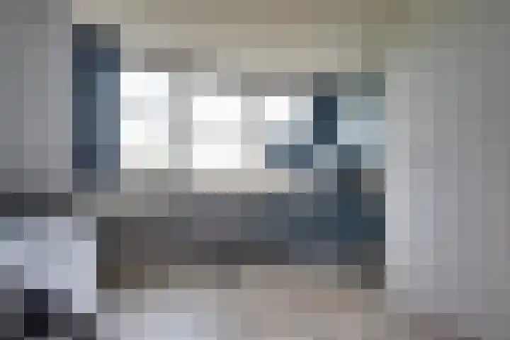 Tarweakker 20 's-Hertogenbosch thumbnail 26