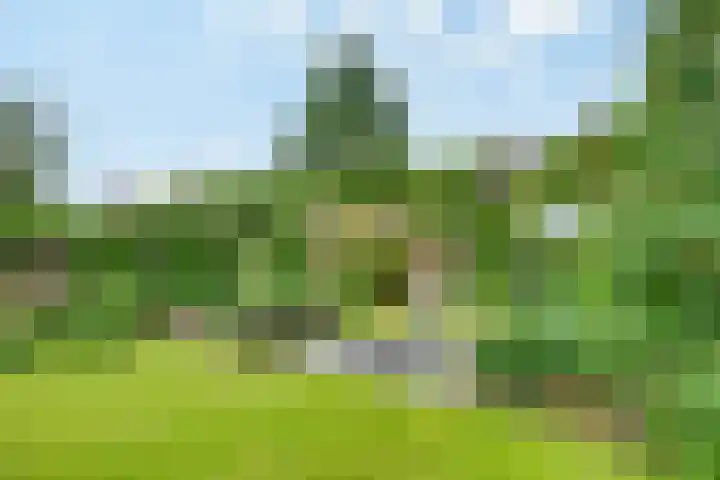 Tarweakker 20 's-Hertogenbosch thumbnail 29