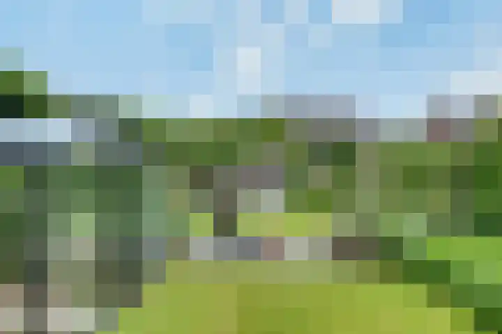 Tarweakker 20 's-Hertogenbosch thumbnail 30