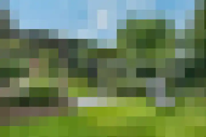 Tarweakker 20 's-Hertogenbosch thumbnail 33