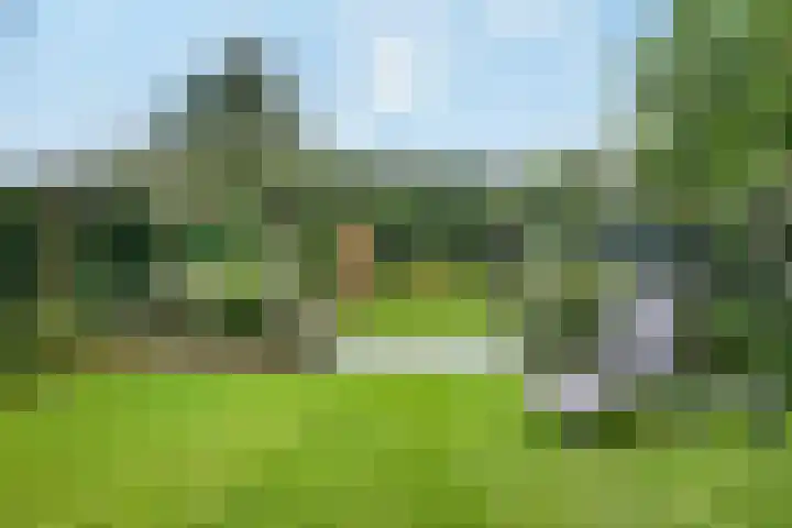 Tarweakker 20 's-Hertogenbosch thumbnail 34