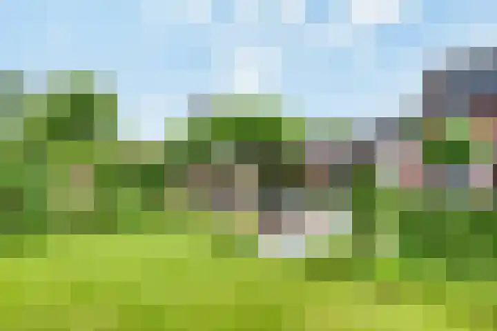 Tarweakker 20 's-Hertogenbosch thumbnail 35