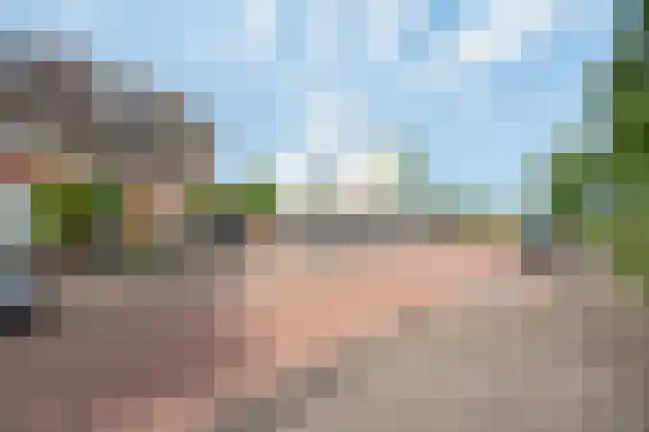 Tarweakker 20 's-Hertogenbosch thumbnail 40