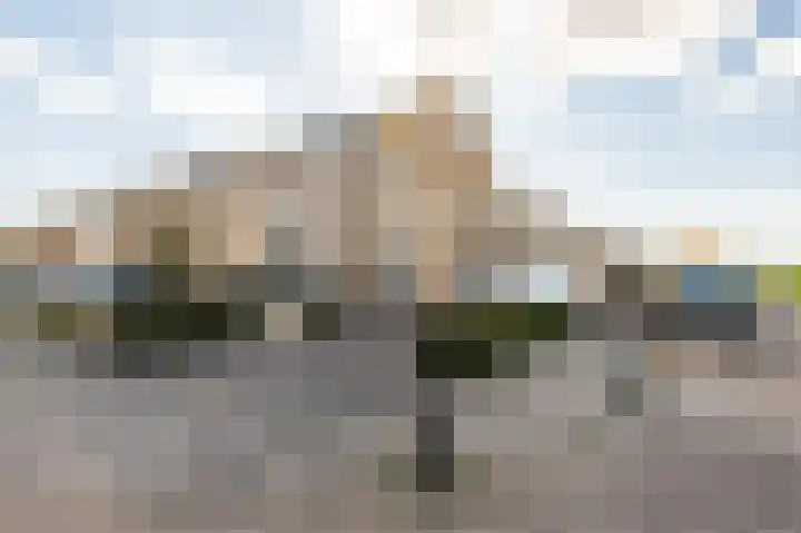 Tarweakker 20 's-Hertogenbosch thumbnail 44