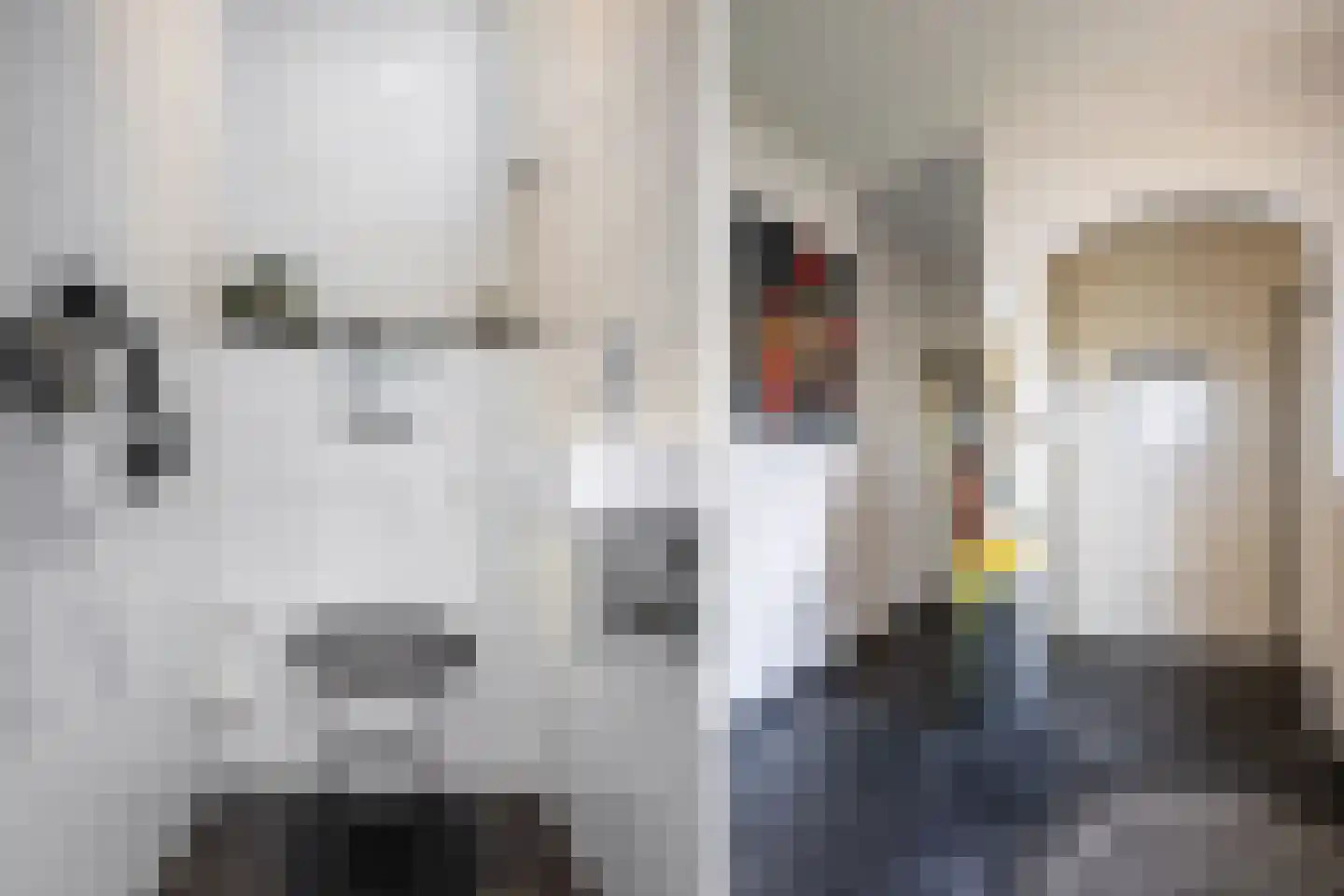 Tarweakker 20 's-Hertogenbosch thumbnail 49