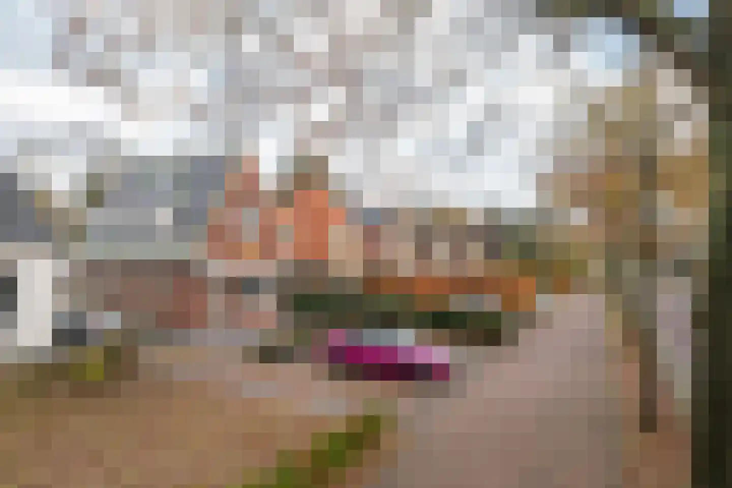 Tarweakker 20 's-Hertogenbosch thumbnail 51