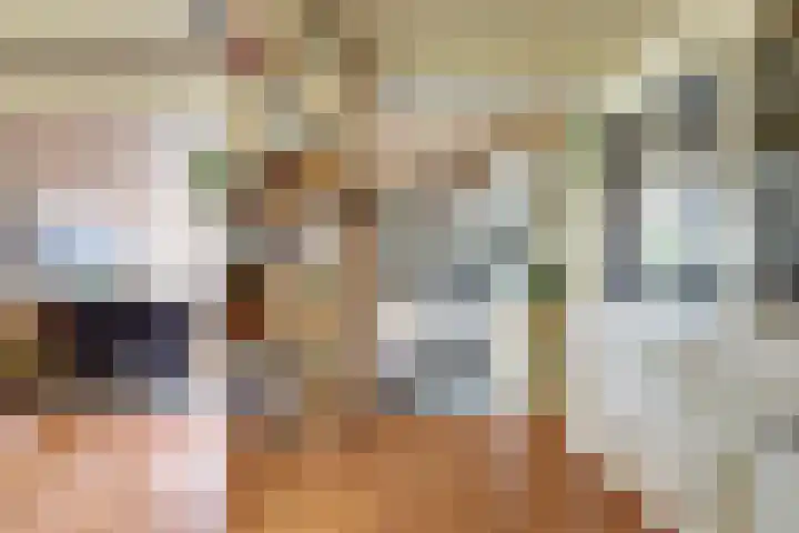 Tarweakker 20 's-Hertogenbosch thumbnail 6