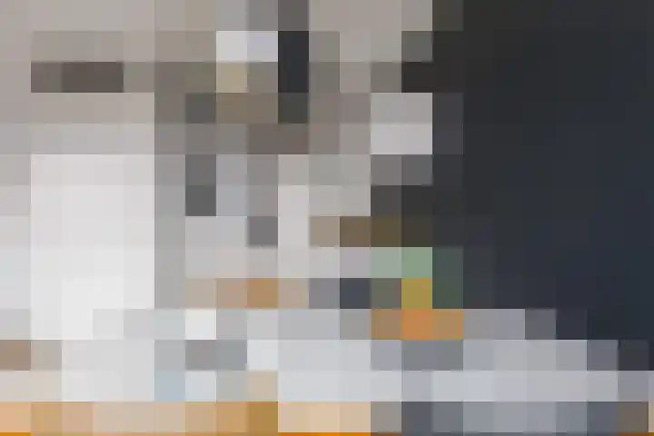 Tarweakker 20 's-Hertogenbosch thumbnail 9