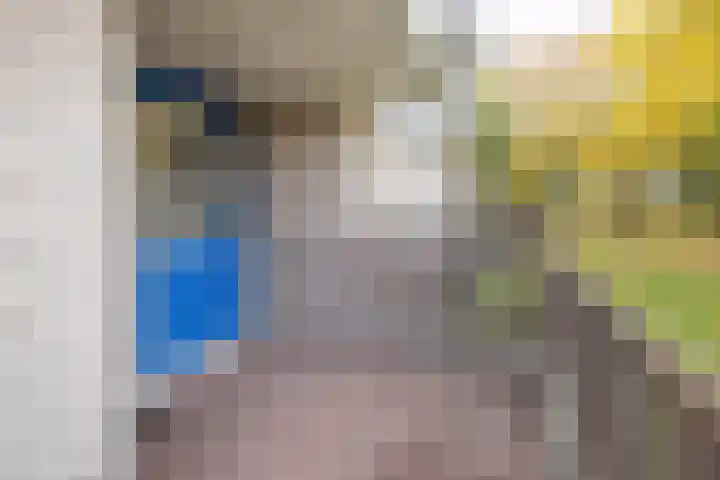 Tarweakker 26 Barneveld thumbnail 26