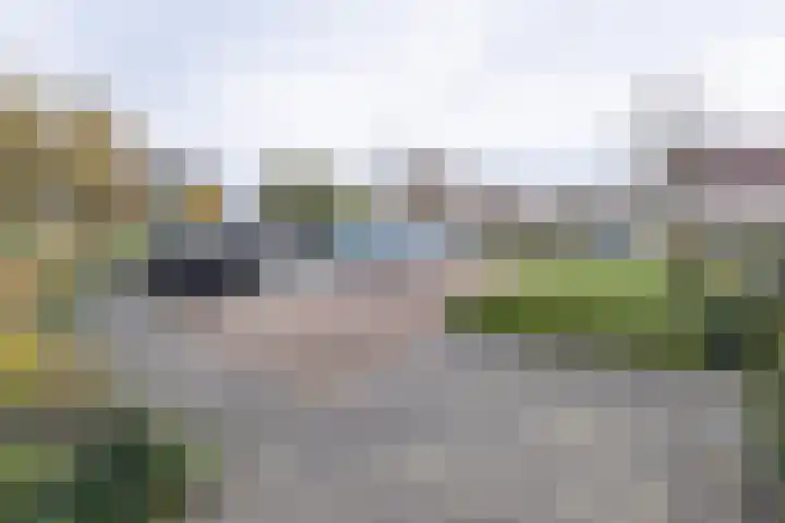 Tarweakker 26 Barneveld thumbnail 33