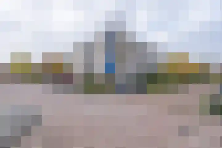 Tarweakker 26 Barneveld thumbnail 34