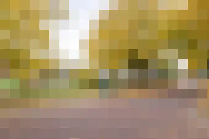 Tarweakker 26 Barneveld thumbnail 36