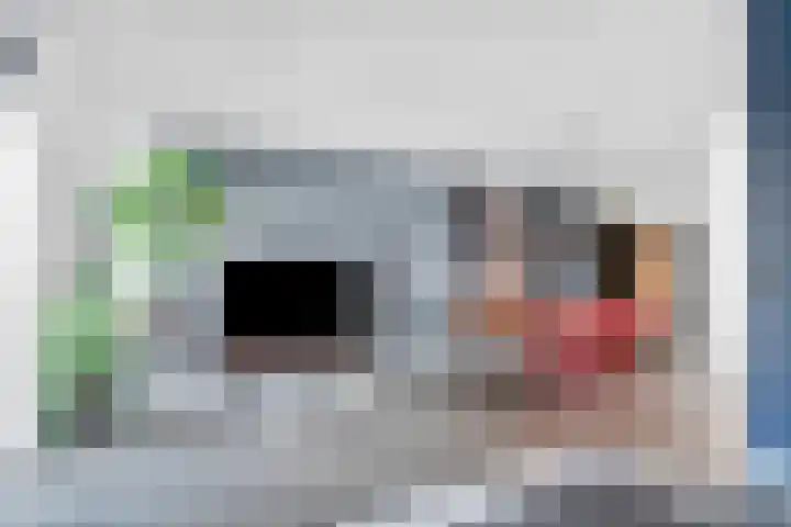 Tarweakker 29 Heino thumbnail 10
