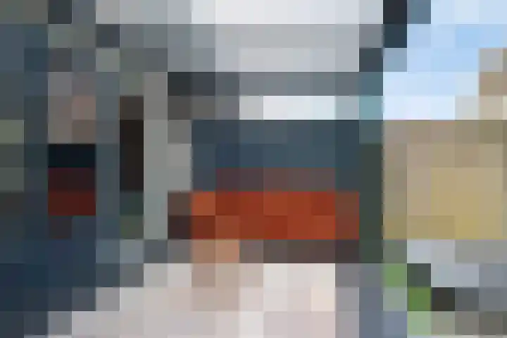 Tarweakker 29 Heino thumbnail 14