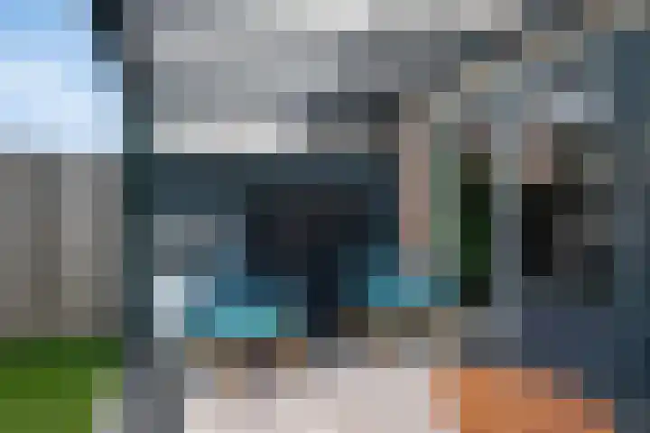 Tarweakker 29 Heino thumbnail 15