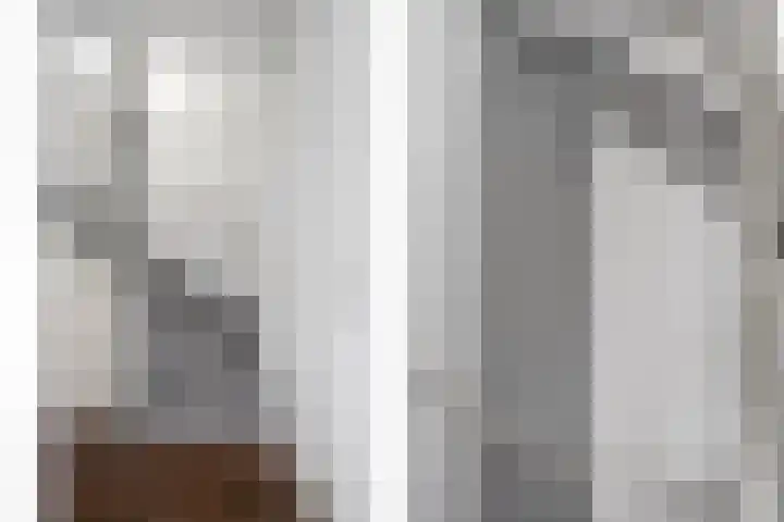 Tarweakker 29 Heino thumbnail 16