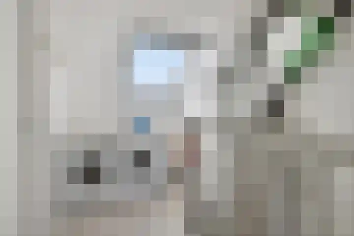 Tarweakker 29 Heino thumbnail 26