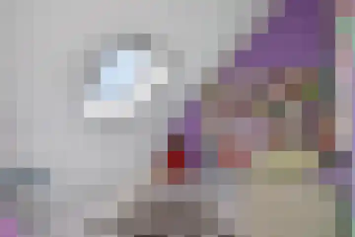 Tarweakker 29 Heino thumbnail 27