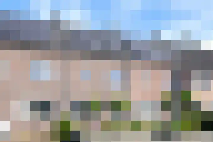 Tarweakker 29 Heino foto 3