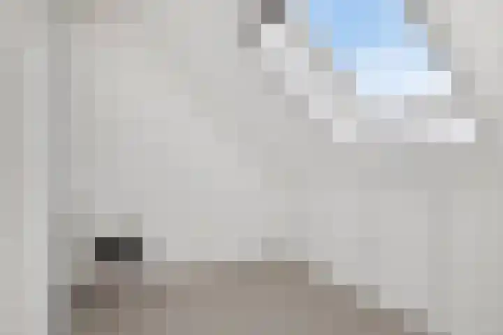 Tarweakker 29 Heino thumbnail 30